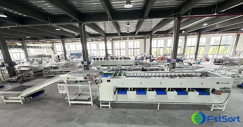 images/1668412308982potato sorter111.jpg